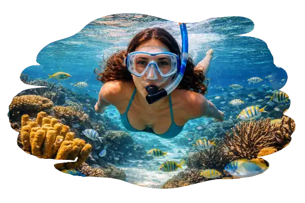 Snorkel en arrecife