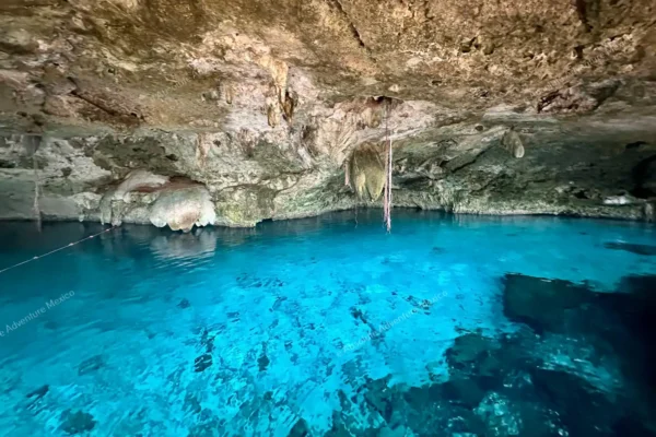 tour privado Cenote Dos Ojos en la Riviera Maya