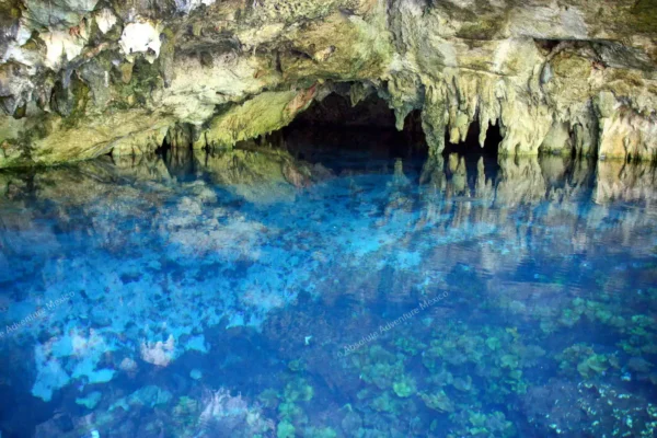 tour privado Cenote Dos Ojos en la Riviera Maya