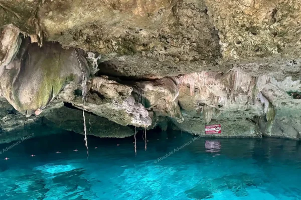 tour privado Cenote Dos Ojos en la Riviera Maya