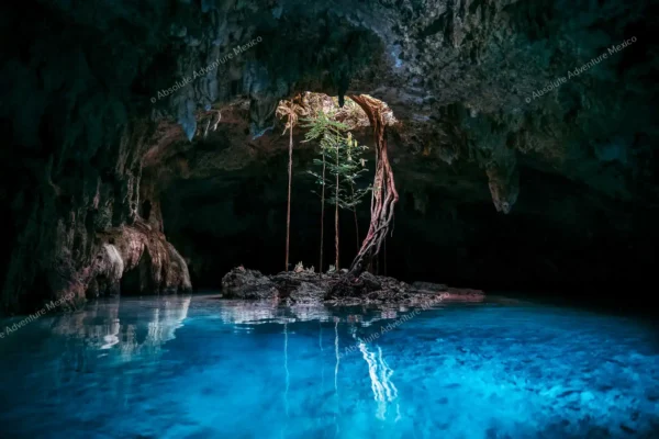 tour privado Cenote Pet Cemetery en la Riviera Maya