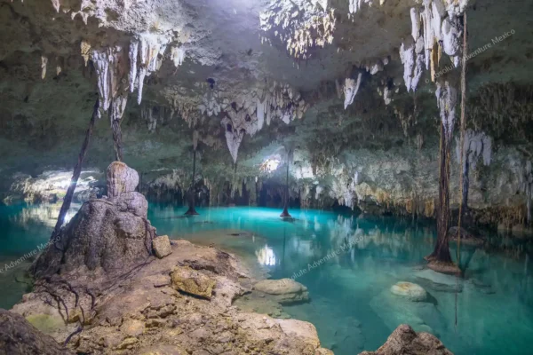 tour privado Cenote Pet Cemetery en la Riviera Maya