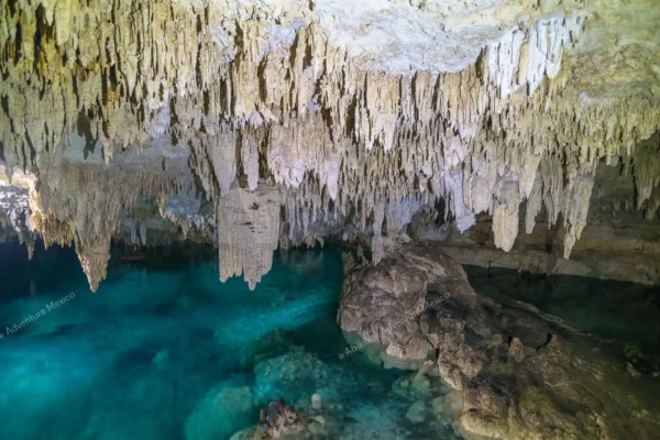 tour privado Cenote Pet Cemetery en la Riviera Maya