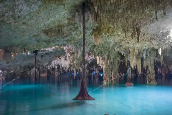 tour privado Cenote Pet Cemetery en la Riviera Maya