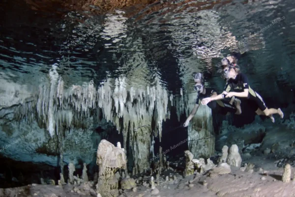 tour privado Cenote Pet Cemetery en la Riviera Maya