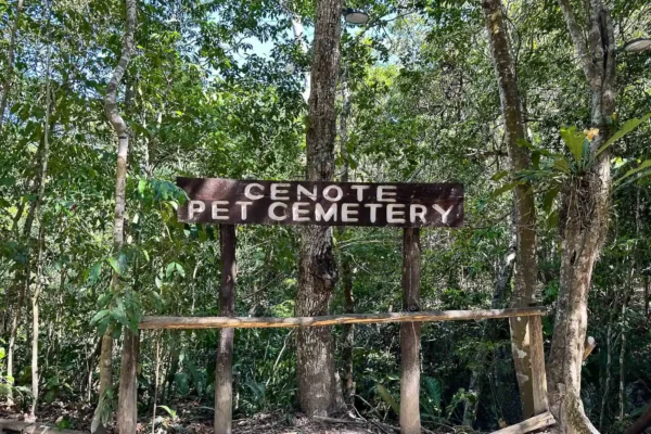tour privado Cenote Pet Cemetery en la Riviera Maya