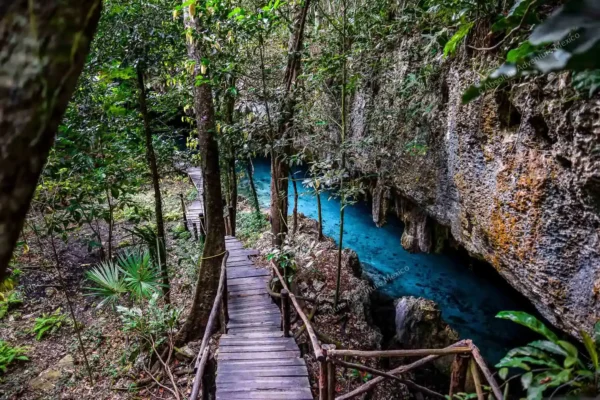 tour privado Cenote Pet Cemetery en la Riviera Maya