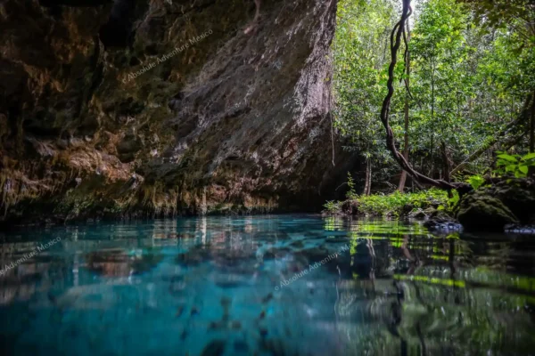 tour privado Cenote Pet Cemetery en la Riviera Maya