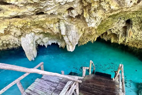 tour privado Cenote Pet Cemetery en la Riviera Maya