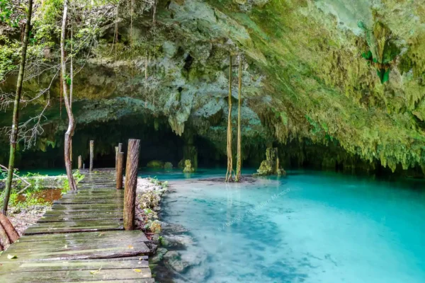 tour privado Cenote Pet Cemetery en la Riviera Maya