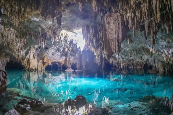 tour privado Cenote Pet Cemetery en la Riviera Maya