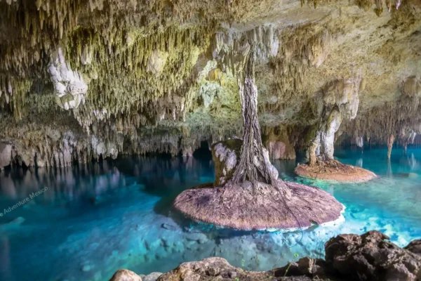 tour privado Cenote Pet Cemetery en la Riviera Maya