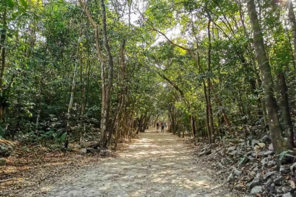 tour privado Coba Express en la Riviera Maya