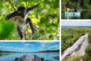 tour privado Coba y Punta Laguna en la Riviera Maya