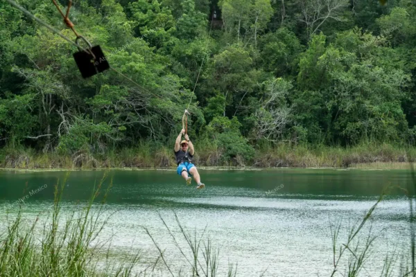 tour privado Coba y Punta Laguna en la Riviera Maya