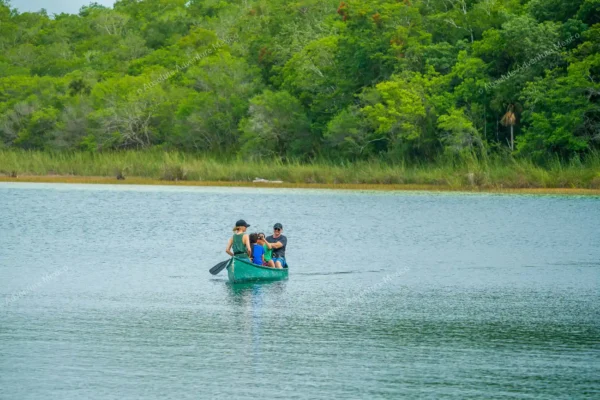 tour privado Coba y Punta Laguna en la Riviera Maya