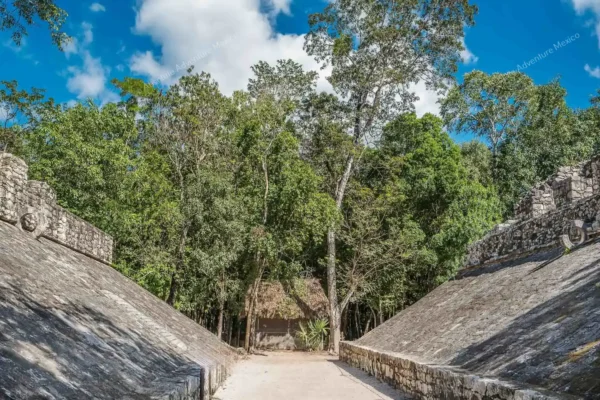 tour privado Coba y Punta Laguna en la Riviera Maya