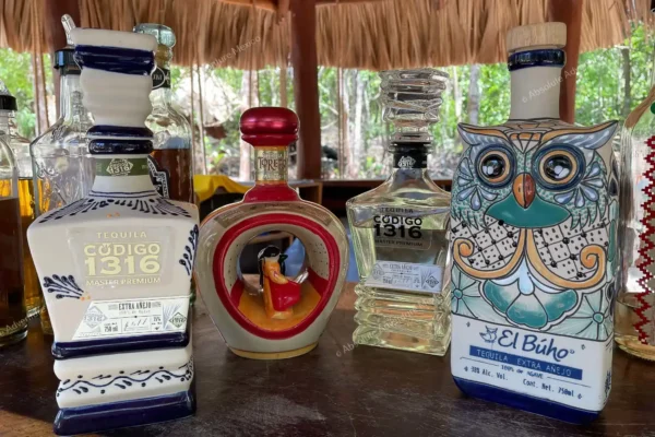 tour privado de tequila en la selva maya en la Riviera Maya