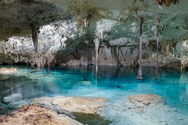 tour privado de tequila en la selva maya en la Riviera Maya