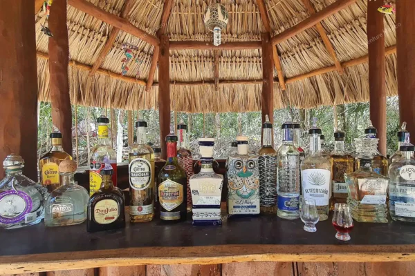 tour privado de tequila en la selva maya en la Riviera Maya