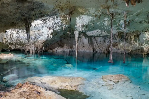 tour privado en dos cenotes en la Riviera Maya