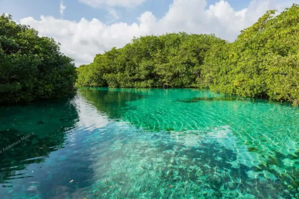 tour privado en tres cenotes en la Riviera Maya