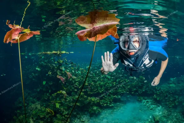 tour privado en tres cenotes en la Riviera Maya