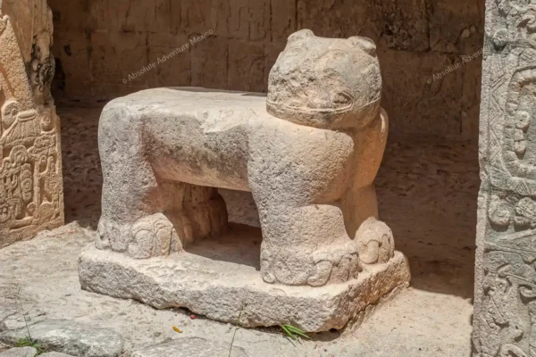 tour privado Equinoccio Chichen Itza en la Riviera Maya