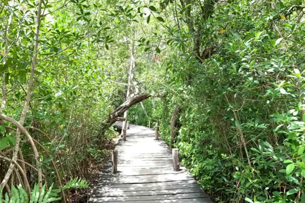tour privado Laguna Kaan Luum y cenote en la Riviera Maya