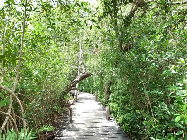 tour privado Muyil Kaan Luum y cenote en la Riviera Maya