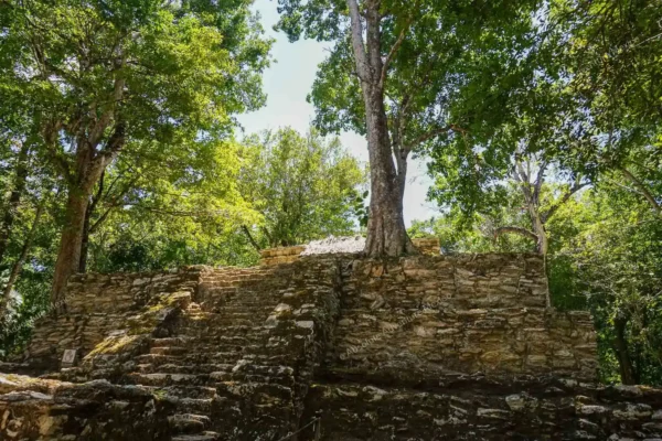 tour privado Muyil Kaan Luum y cenote en la Riviera Maya