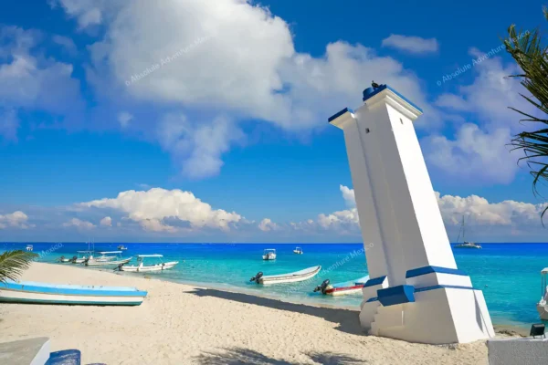 tour privado snorkel arrecife Puerto Morelos en la Riviera Maya