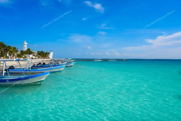 tour privado snorkel arrecife Puerto Morelos en la Riviera Maya