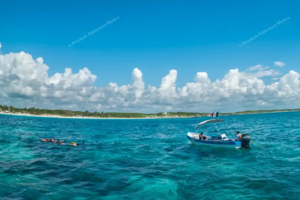 tour privado snorkel arrecife Tulum y cenote en la Riviera Maya