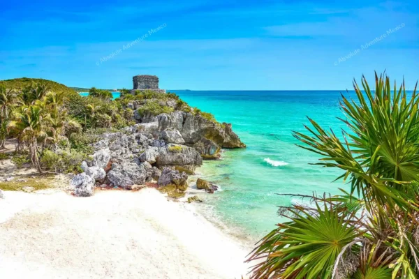 tour privado Tulum cenote y arrecife en la Riviera Maya