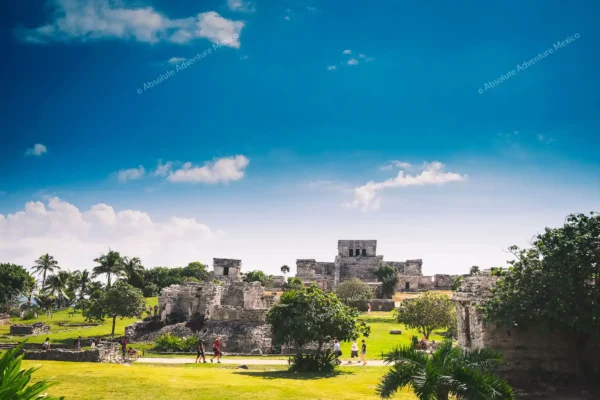 tour privado Tulum Express en la Riviera Maya