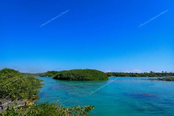 tour privado Yal Ku y cenote en la Riviera Maya