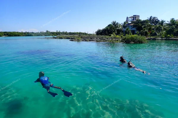 tour privado Yal Ku y cenote en la Riviera Maya