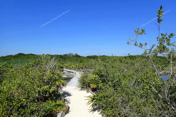 tour privado Yal Ku y cenote en la Riviera Maya