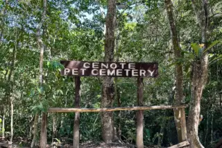 tour privado Cenote Pet Cemetery en la Riviera Maya