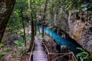 tour privado Cenote Pet Cemetery en la Riviera Maya