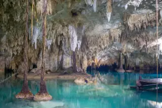 tour privado Cenote Pet Cemetery en la Riviera Maya