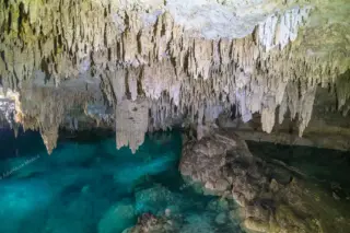tour privado Cenote Pet Cemetery en la Riviera Maya
