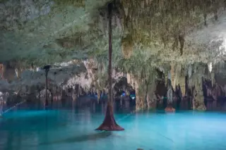 tour privado Cenote Pet Cemetery en la Riviera Maya
