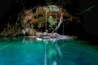 tour privado Cenote Pet Cemetery en la Riviera Maya