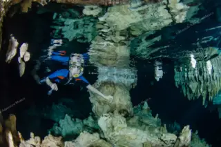 tour privado Cenote Pet Cemetery en la Riviera Maya