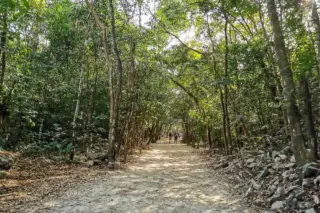 tour privado Coba Express en la Riviera Maya